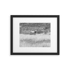 West Texas Longhorn Photography Framed Art Print Gallery Image 5