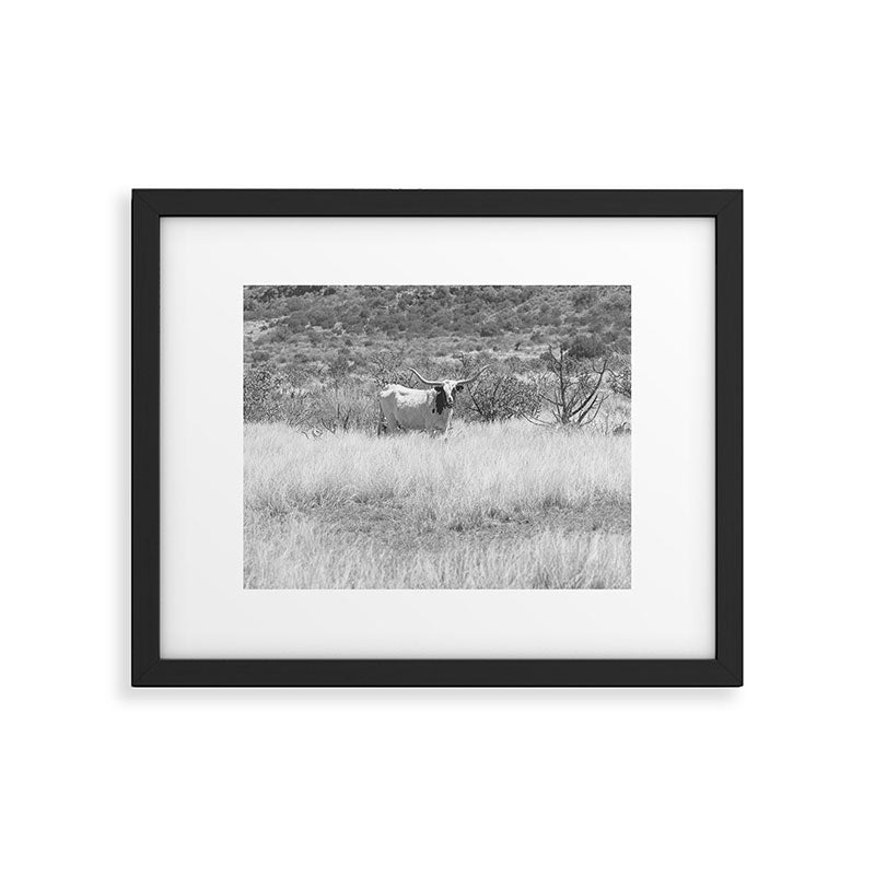 West Texas Longhorn Photography Framed Art Print Gallery Image 5