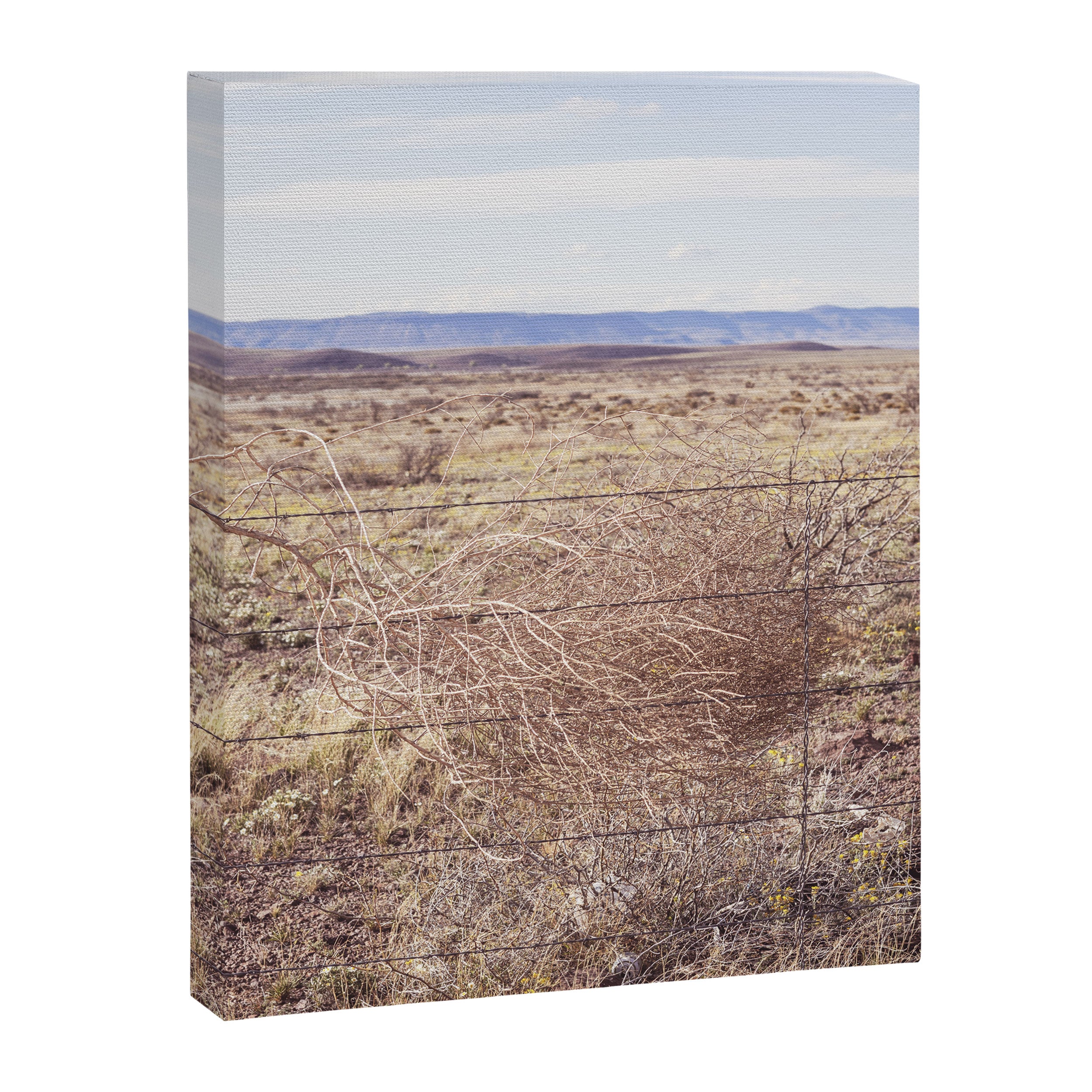 West Texas Tumbleweed x Alpine Texas Photography Canvas Print Gallery Image 6
