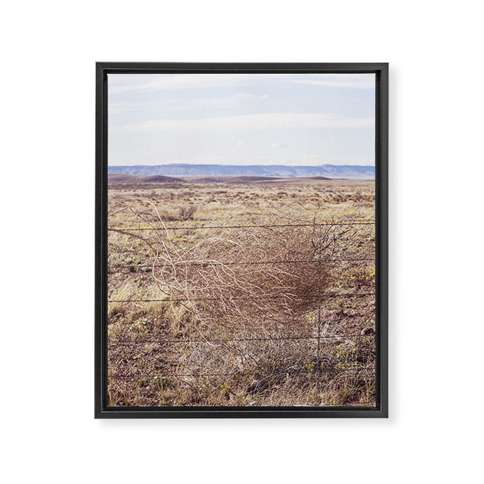 West Texas Tumbleweed x Alpine Texas Photography Framed Canvas Print Gallery Image 1