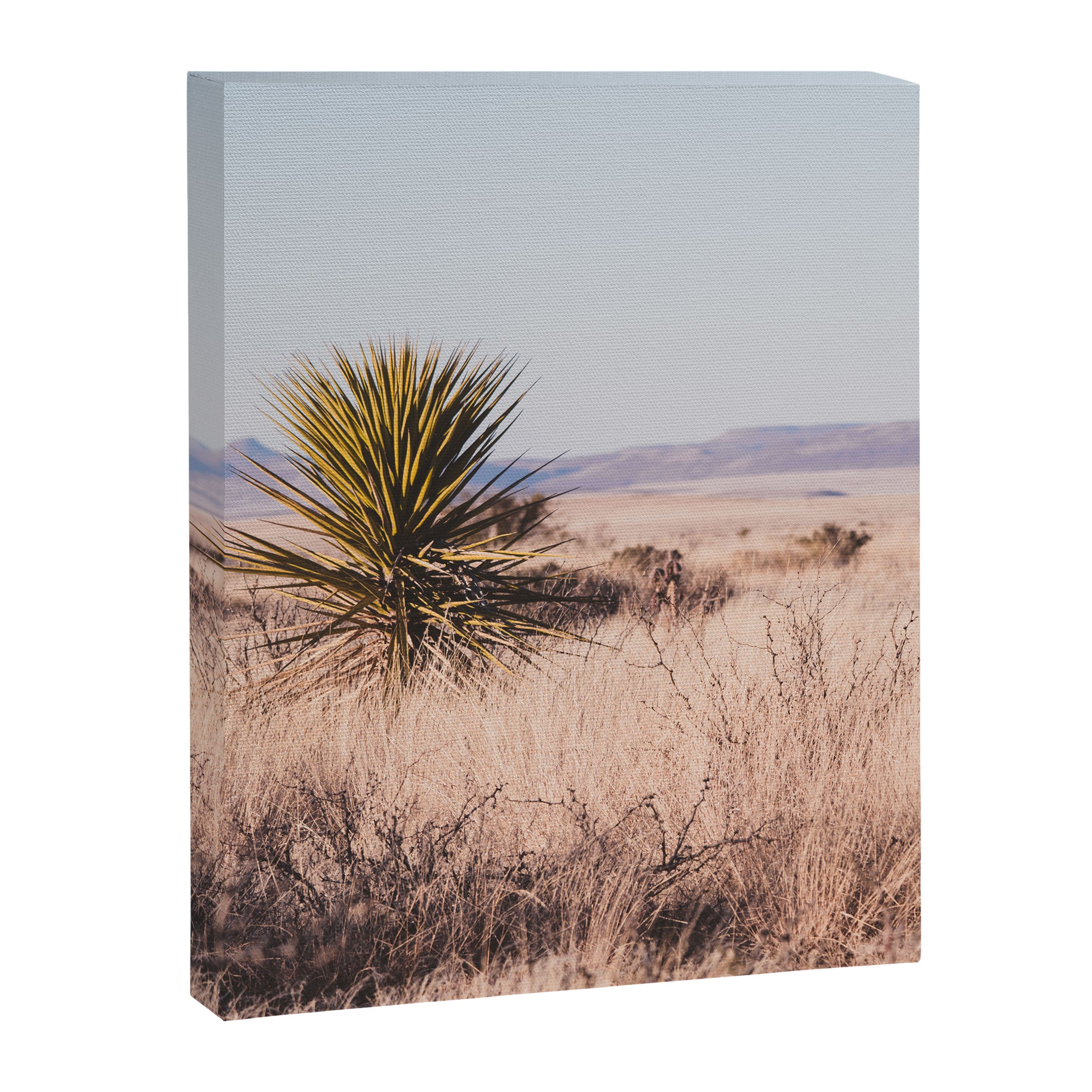 West Texas Vista Canvas Print Gallery Image 6
