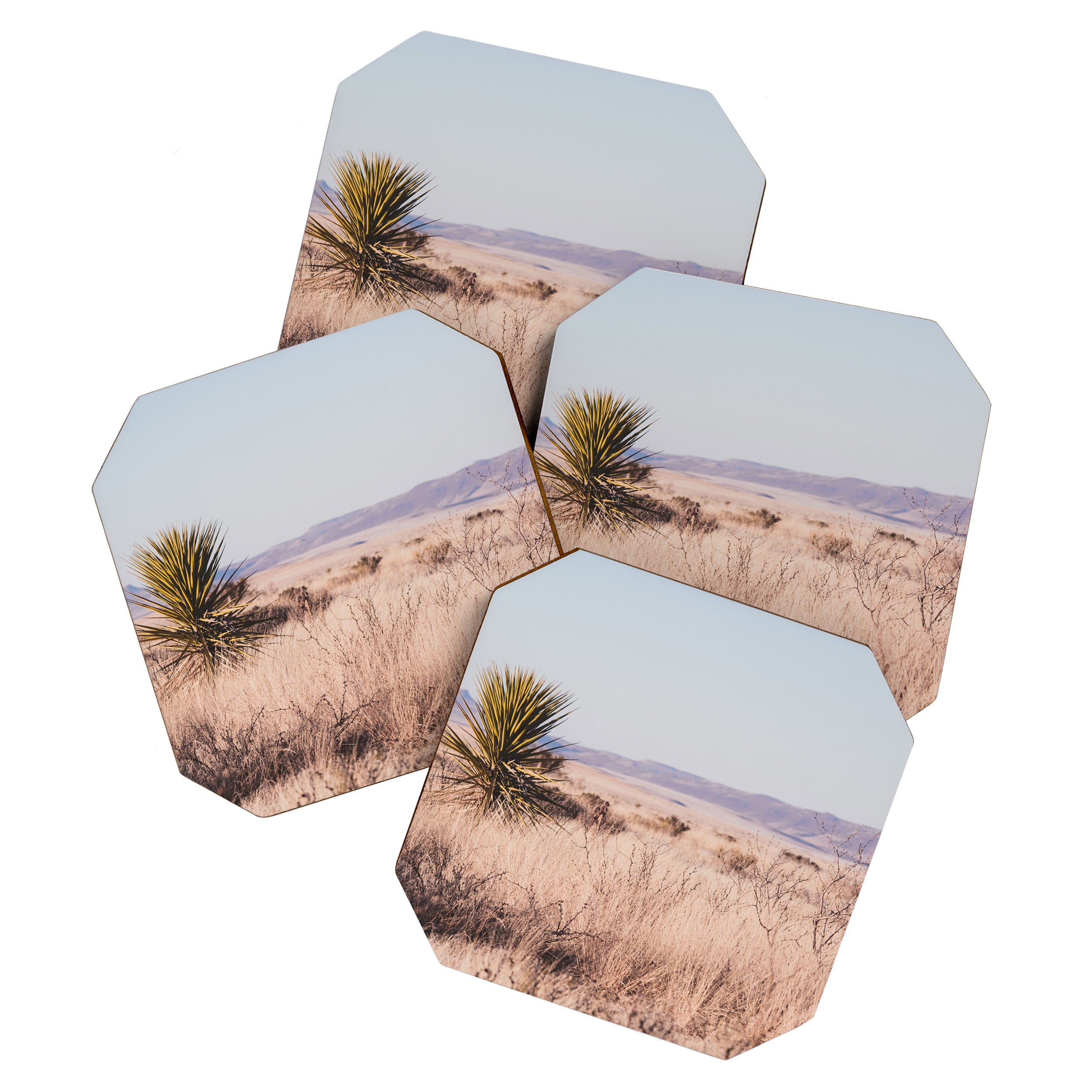 West Texas Vista Coaster Gallery Image 1