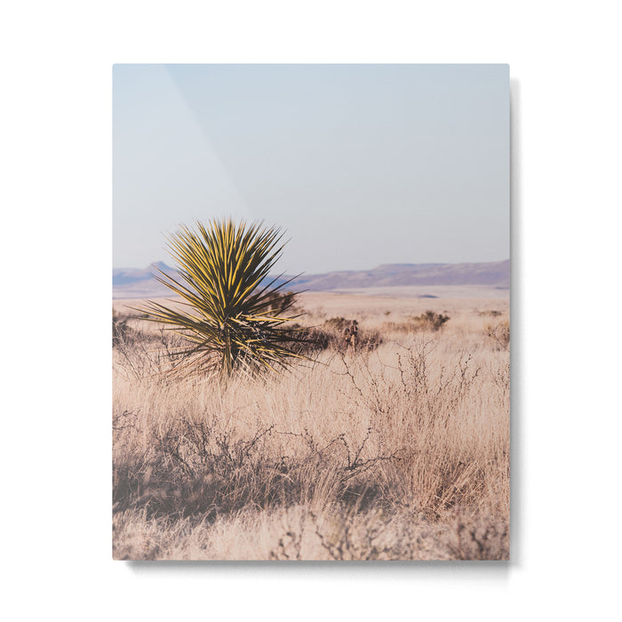 West Texas Vista Metal Print Gallery Image 1