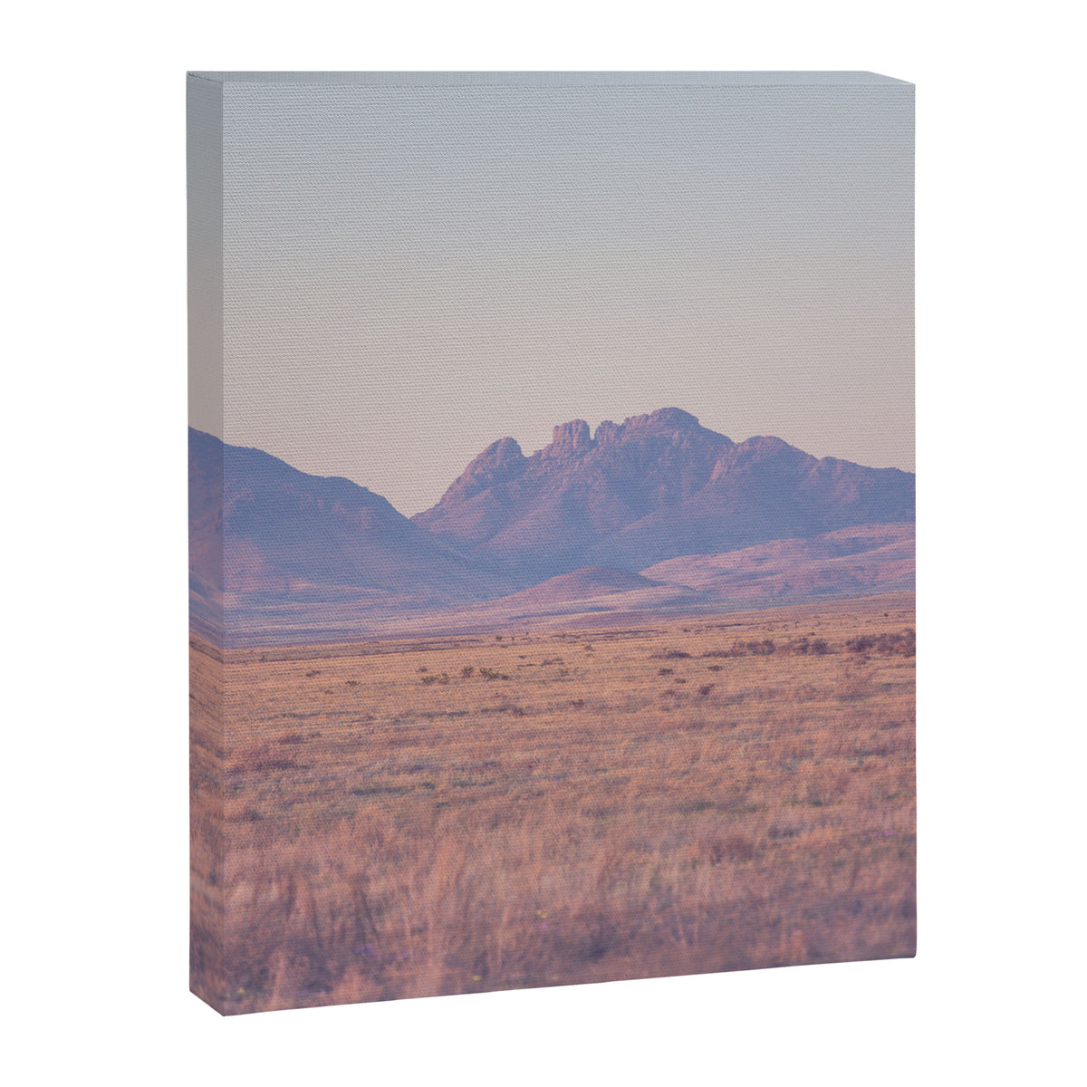 Westward II Canvas Print Gallery Image 6