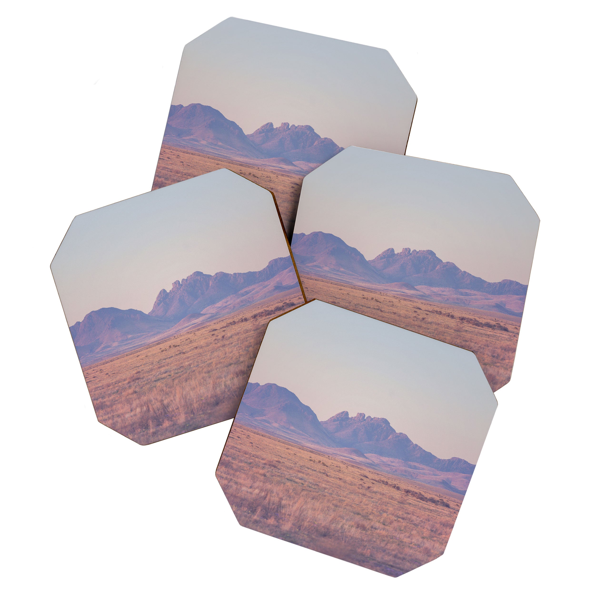 Westward II Coaster Gallery Image 1