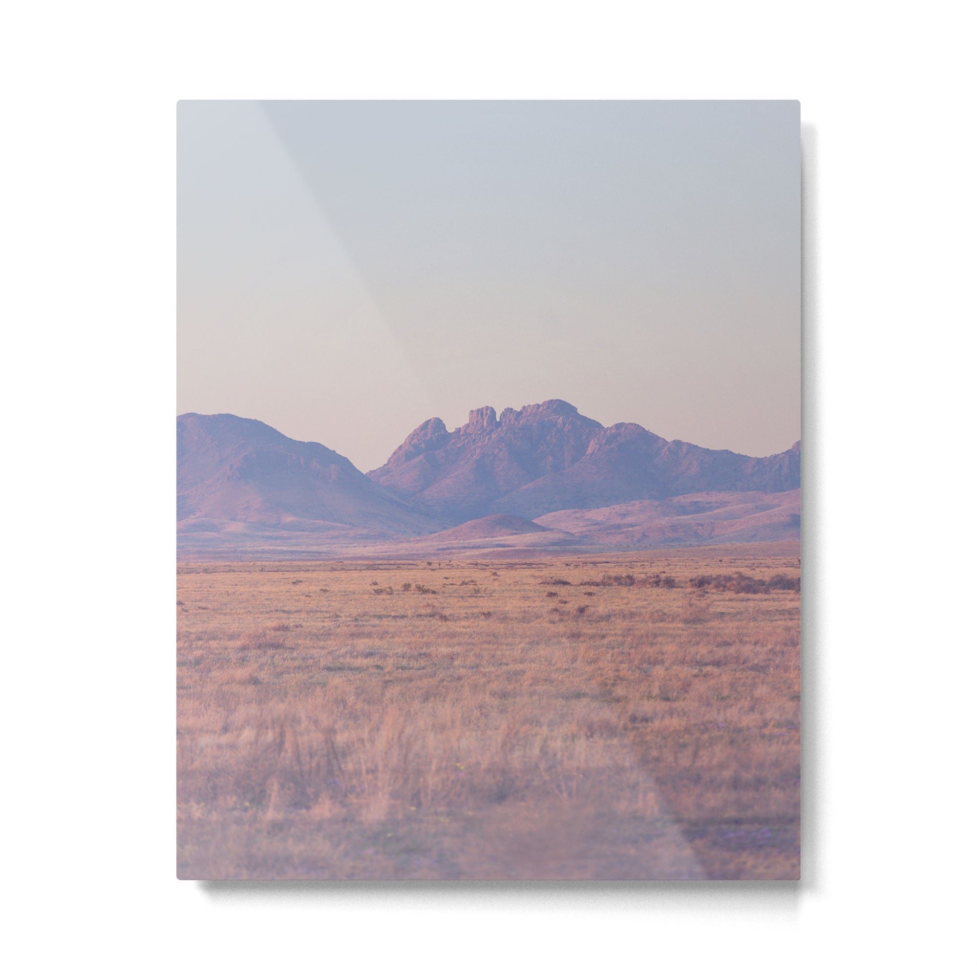 Westward II Metal Print Gallery Image 4