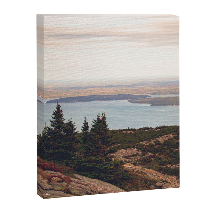 Wild and Free x Sunset over Acadia Canvas Print Gallery Image 1