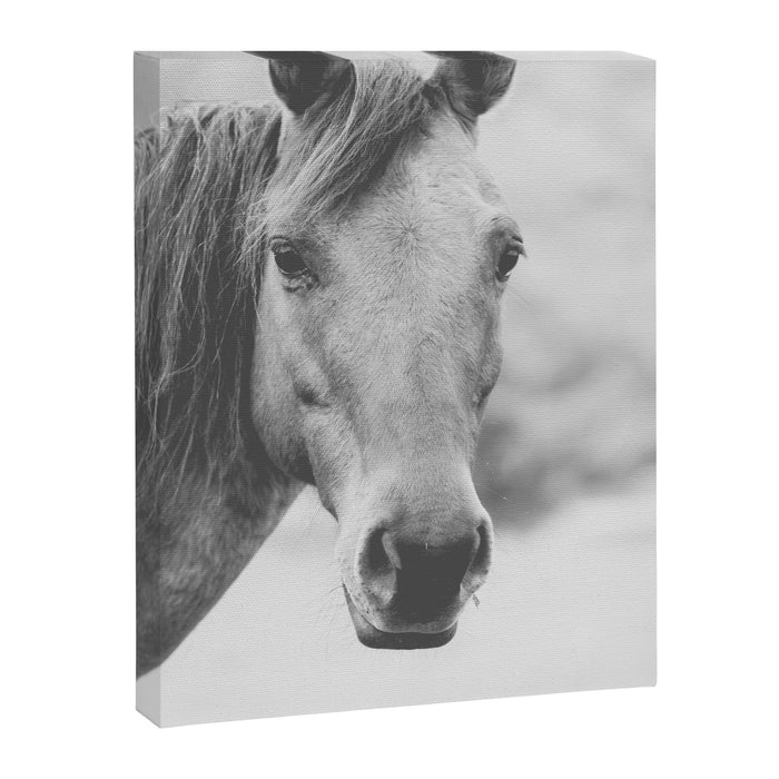 Wild Heart, No. 4 Canvas Print Gallery Image 1