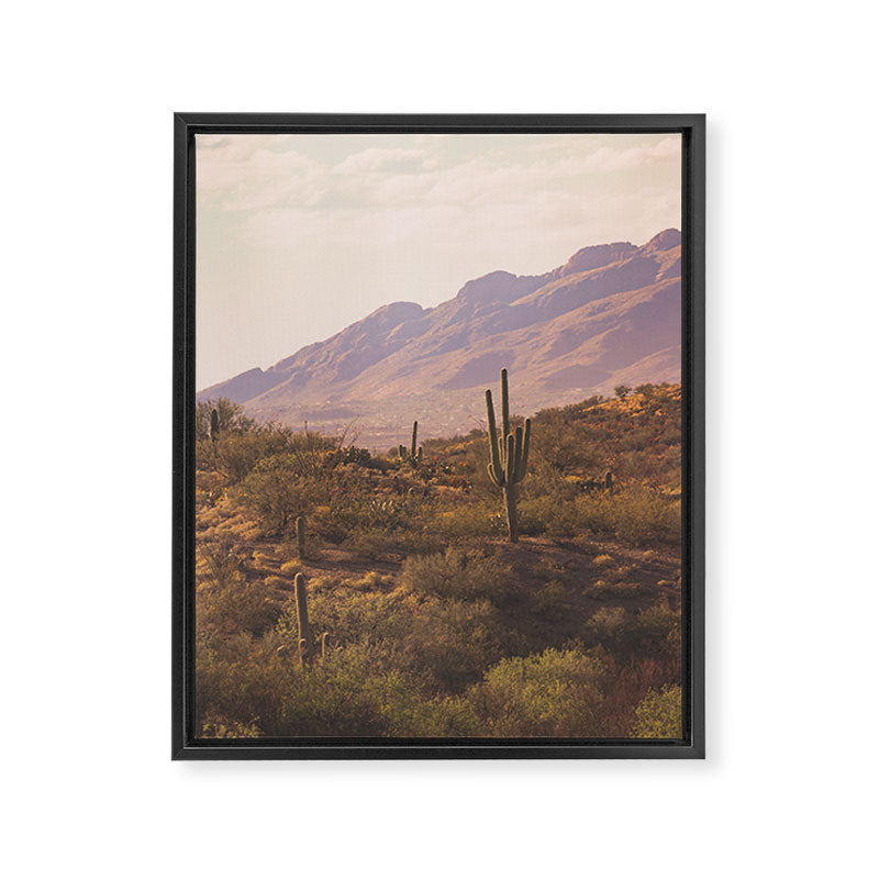 Wild West II Framed Canvas Print Gallery Image 6