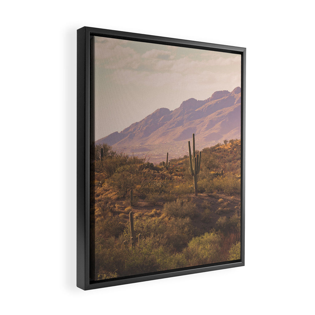Wild West II Framed Canvas Print Gallery Image 2