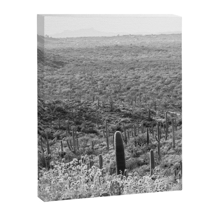 Wild West Canvas Print Gallery Image 1
