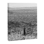 Wild West Canvas Print Gallery Image 6