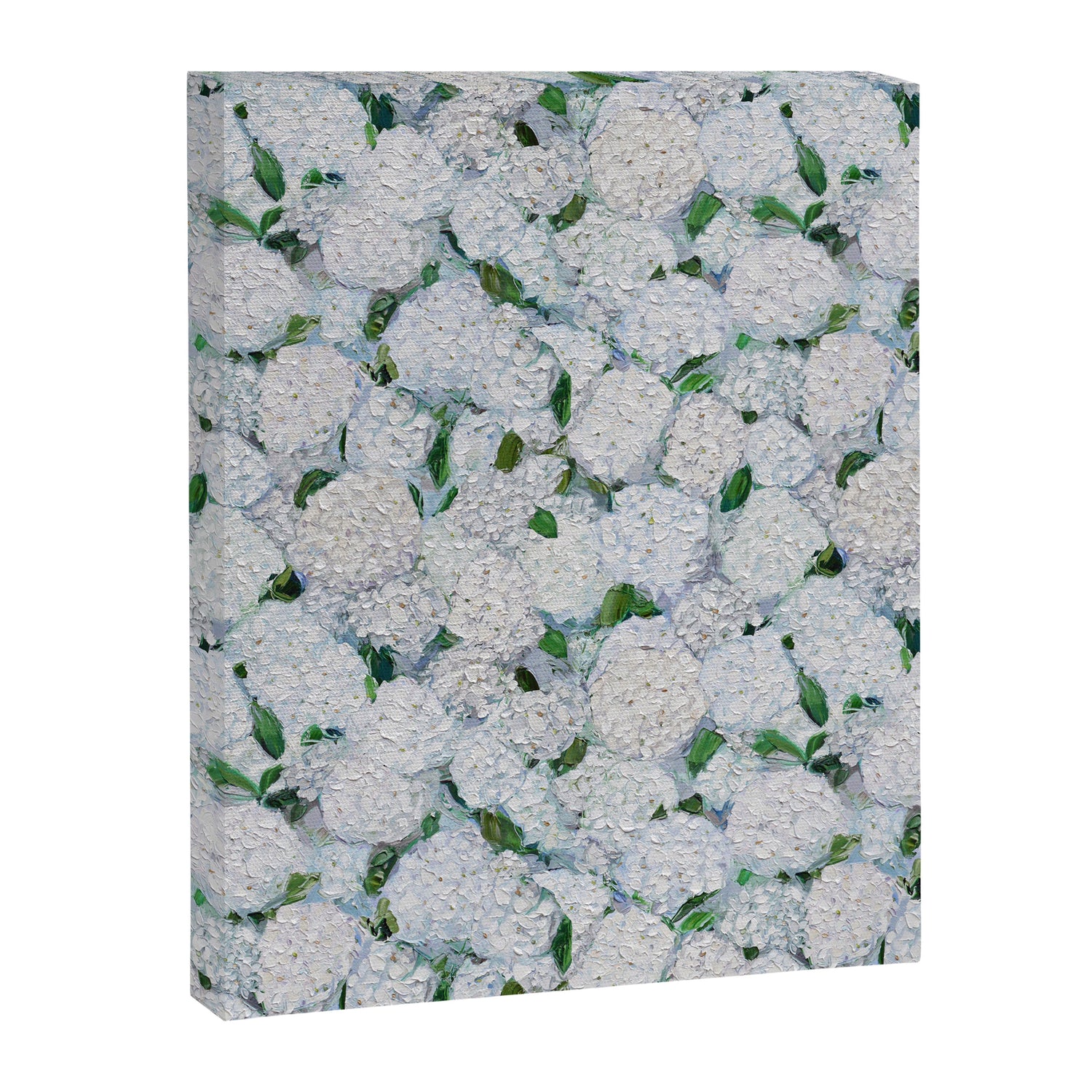 Annabelle Hydrangea Garden Canvas Print Gallery Image 3