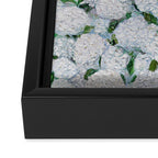 Annabelle Hydrangea Garden Framed Canvas Print Gallery Image 3