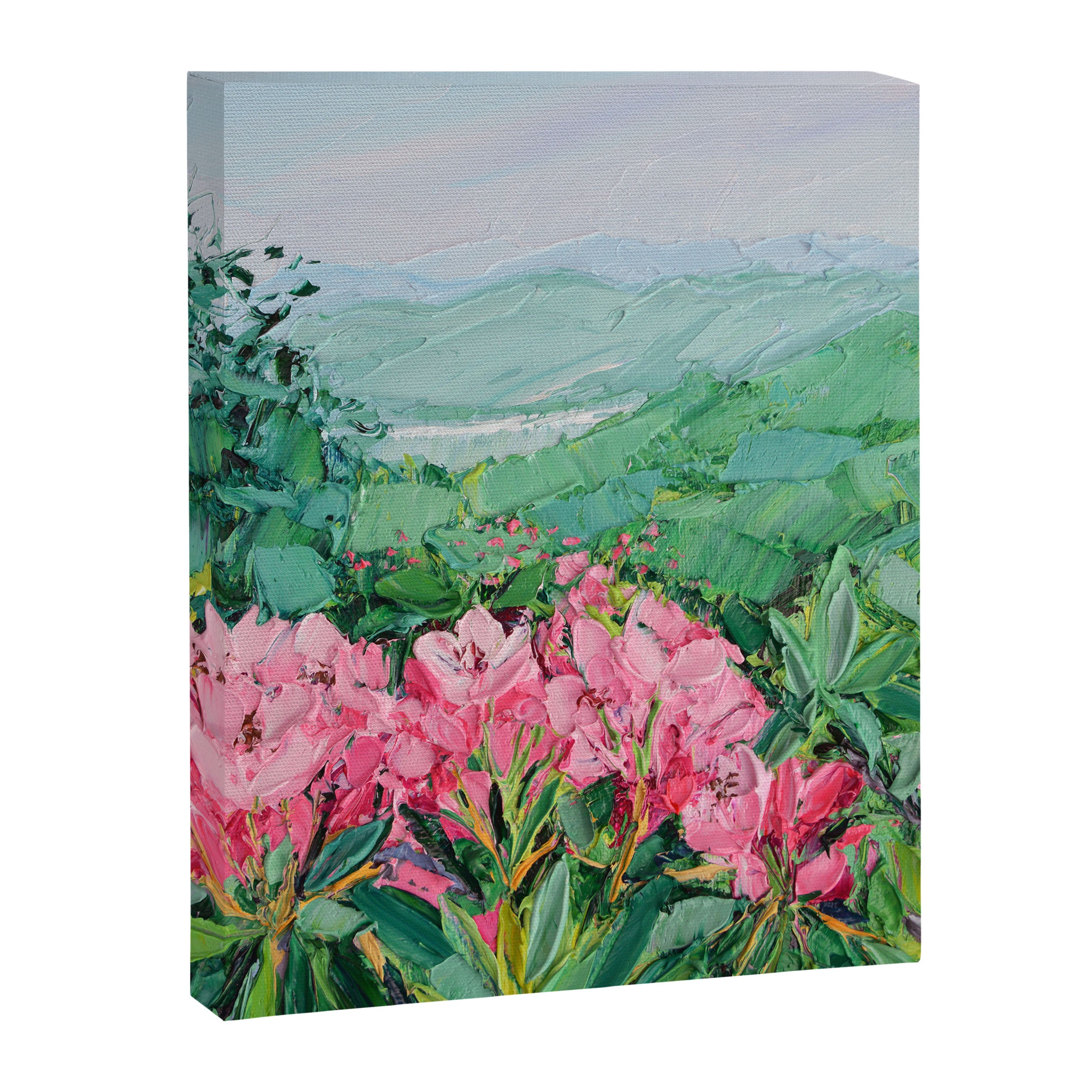 Craggy Gardens Canvas Print Gallery Image 6