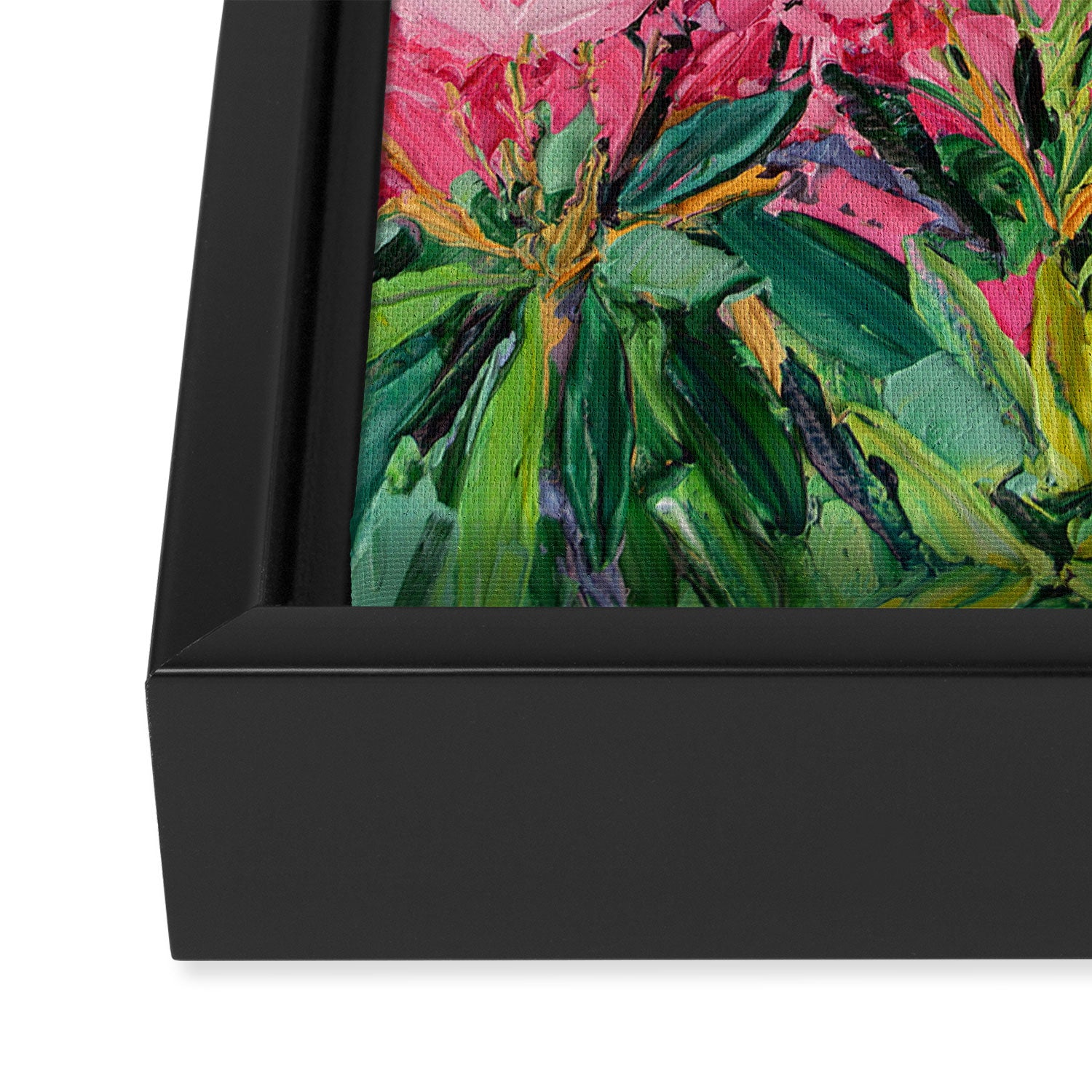 Craggy Gardens Framed Canvas Print Gallery Image 3