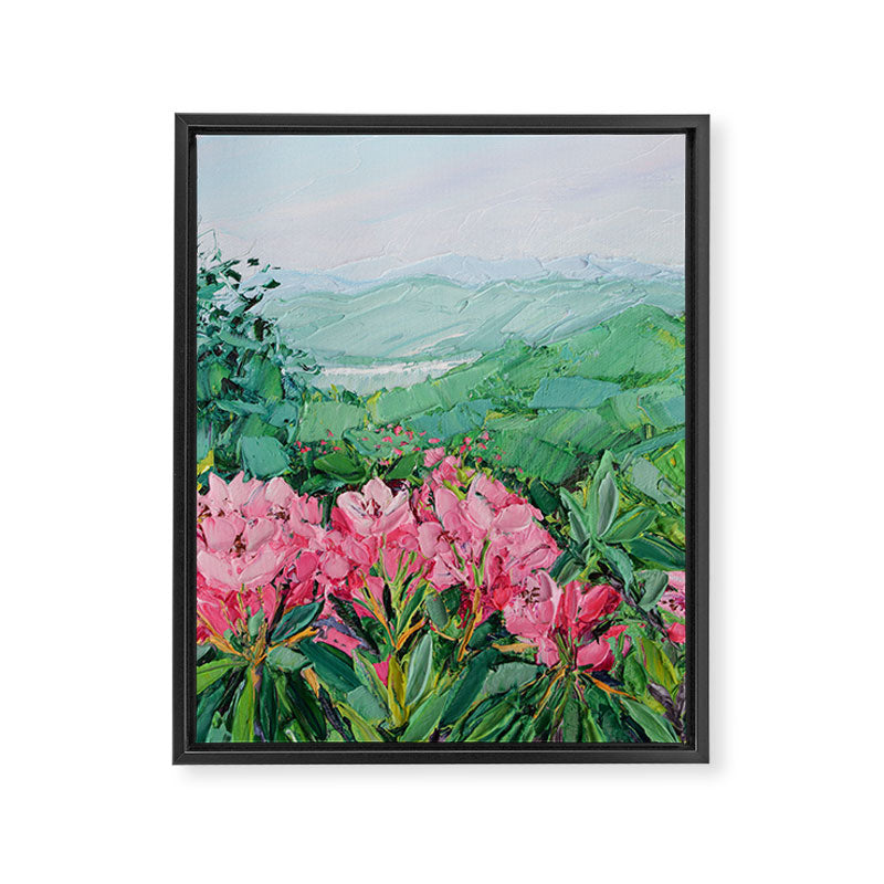 Craggy Gardens Framed Canvas Print Gallery Image 6