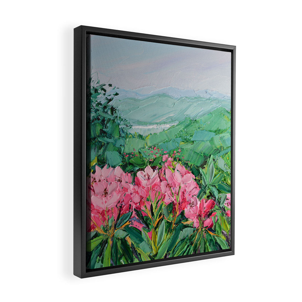 Craggy Gardens Framed Canvas Print Gallery Image 2