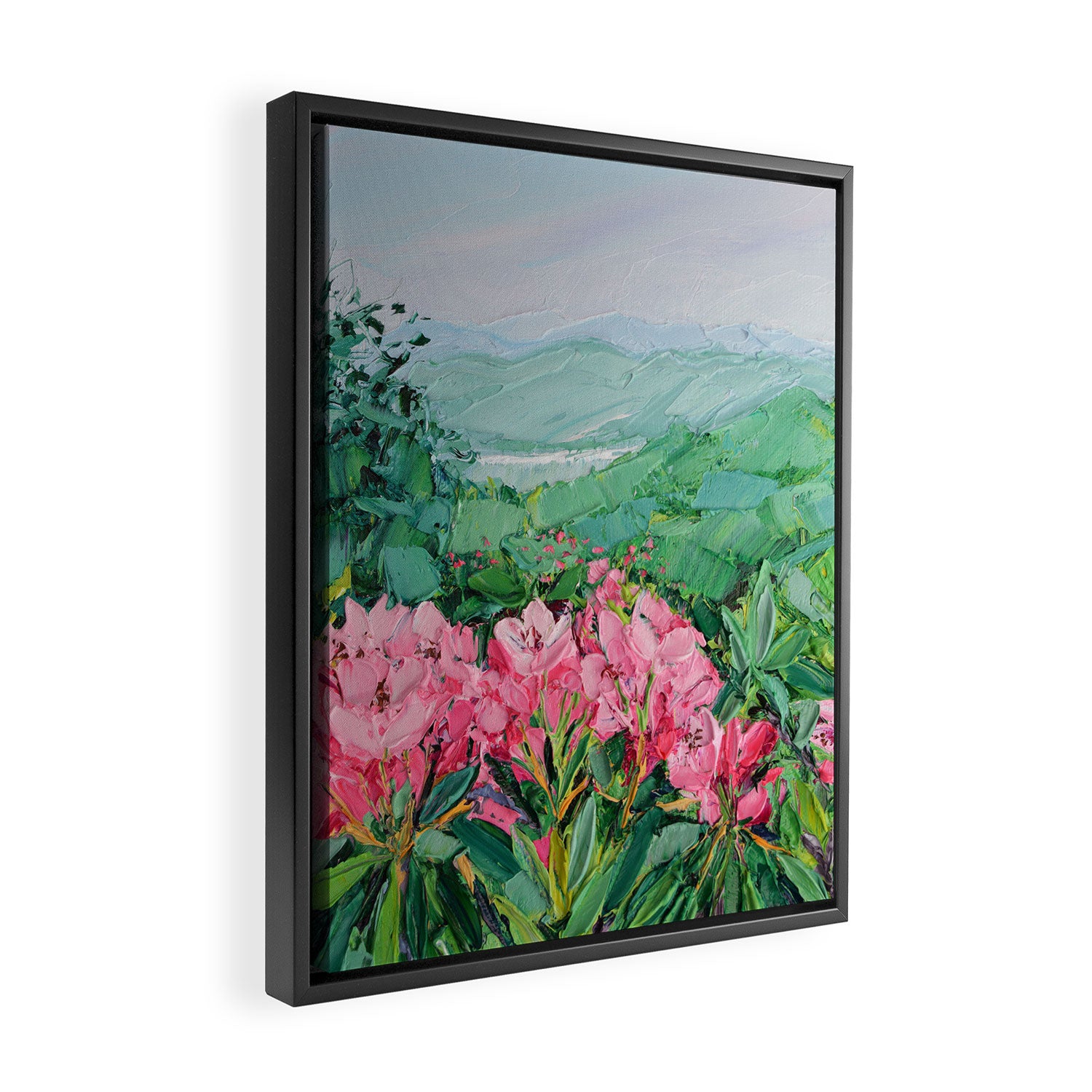 Craggy Gardens Framed Canvas Print Gallery Image 2