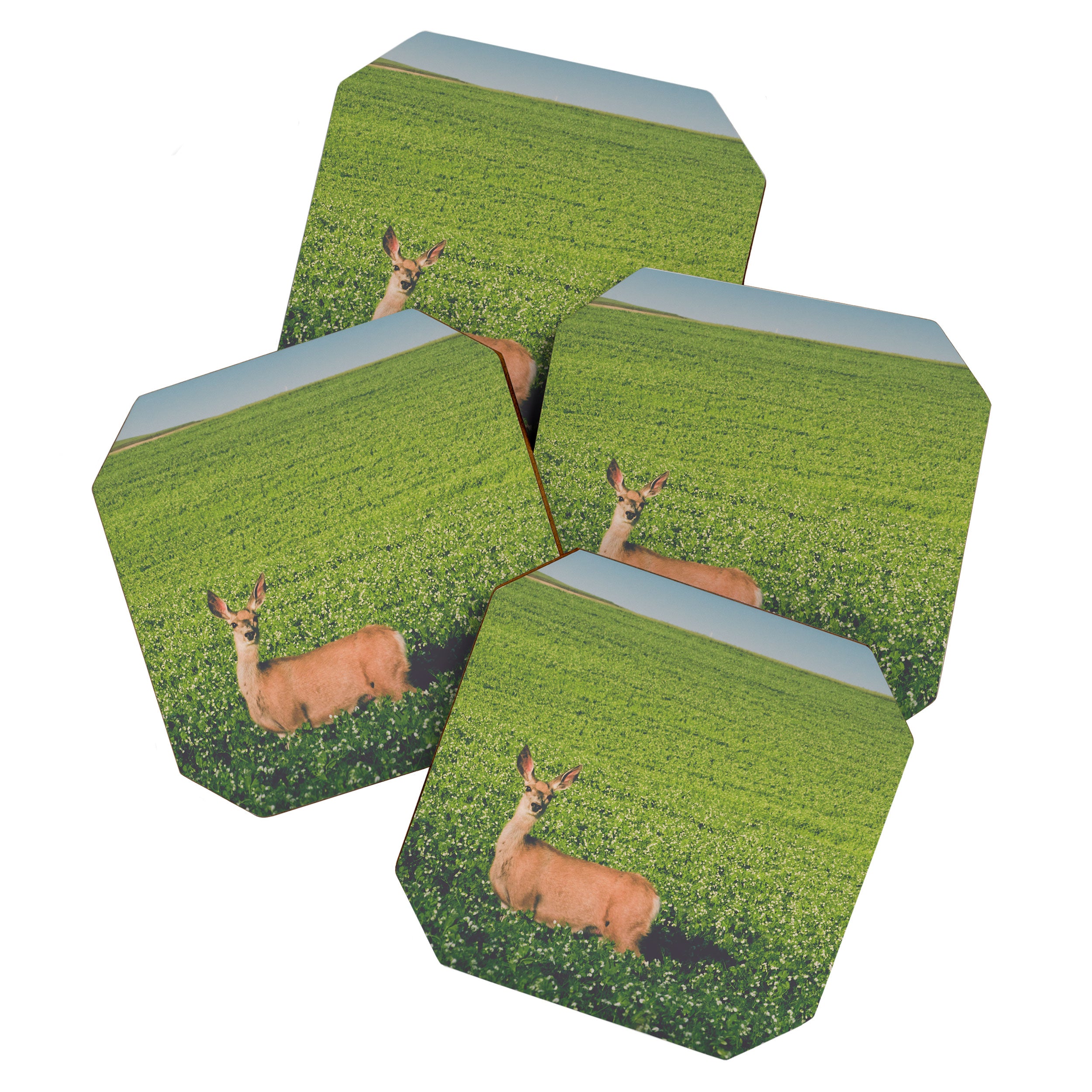 Clover Fields Coaster Gallery Image 1