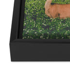 Clover Fields Framed Canvas Print Gallery Image 3