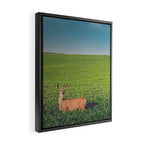 Clover Fields Framed Canvas Print Gallery Image 2
