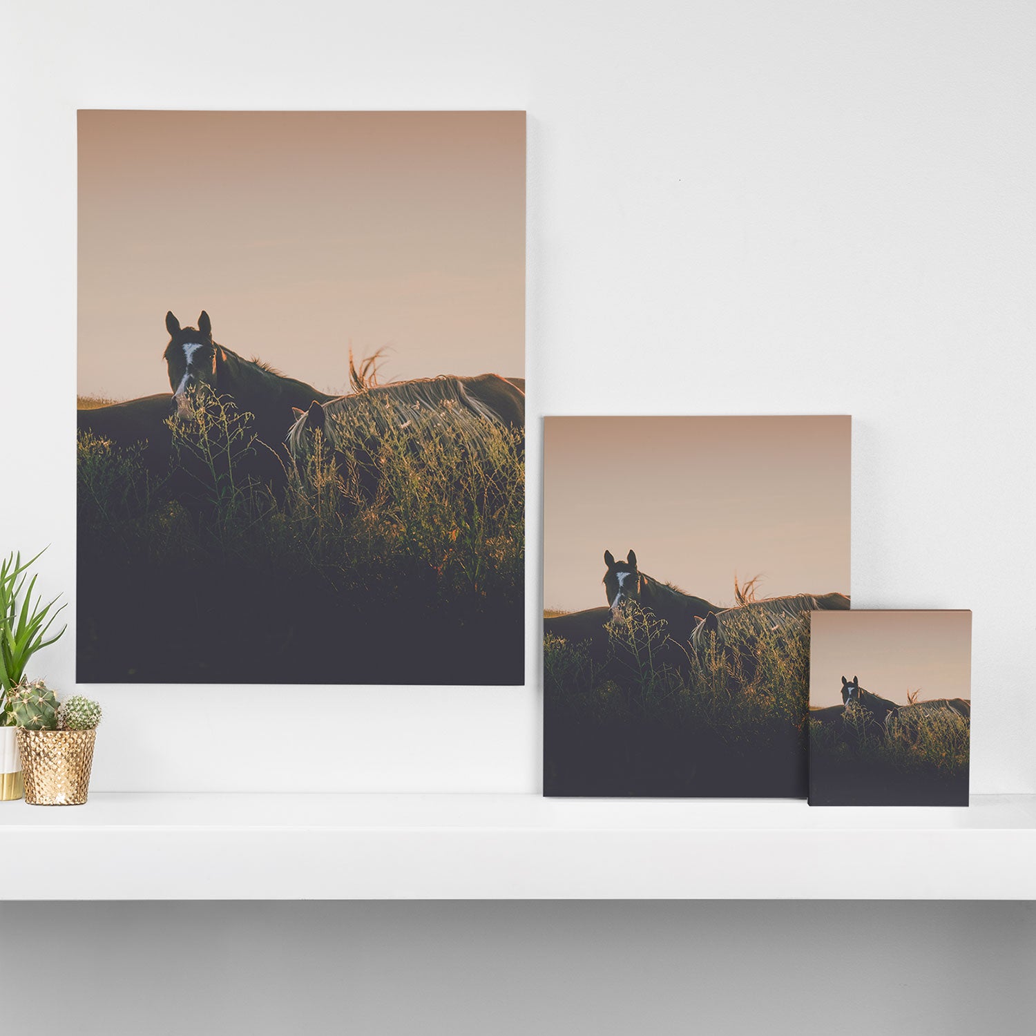 Ears Canvas Print Gallery Image 3