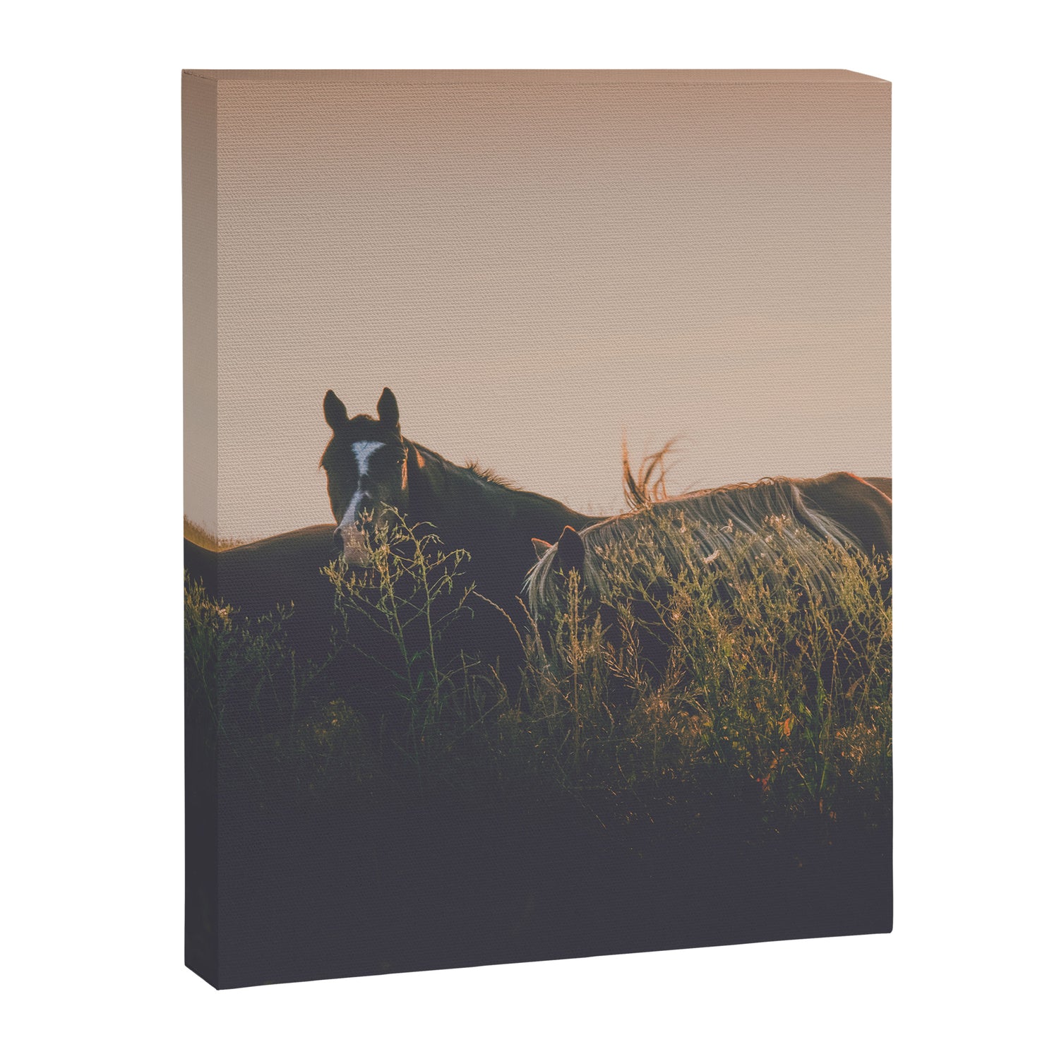 Ears Canvas Print Gallery Image 6