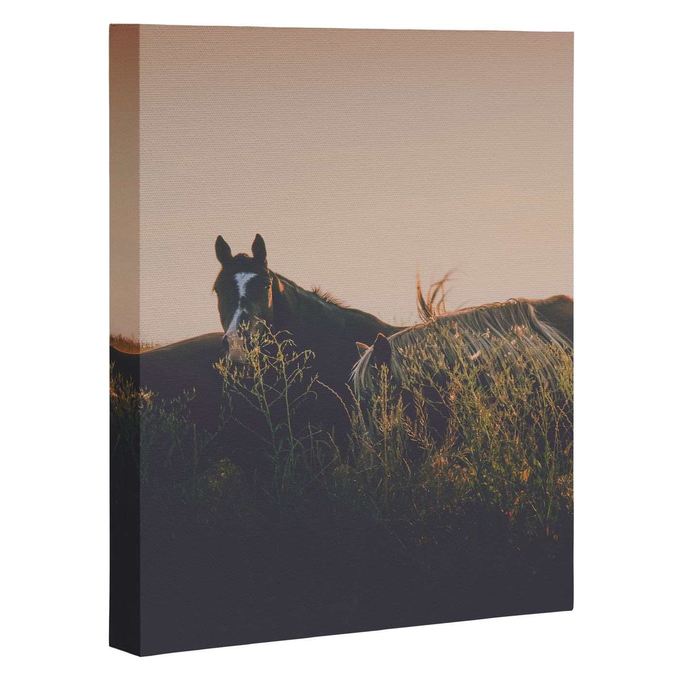 Ears Canvas Print