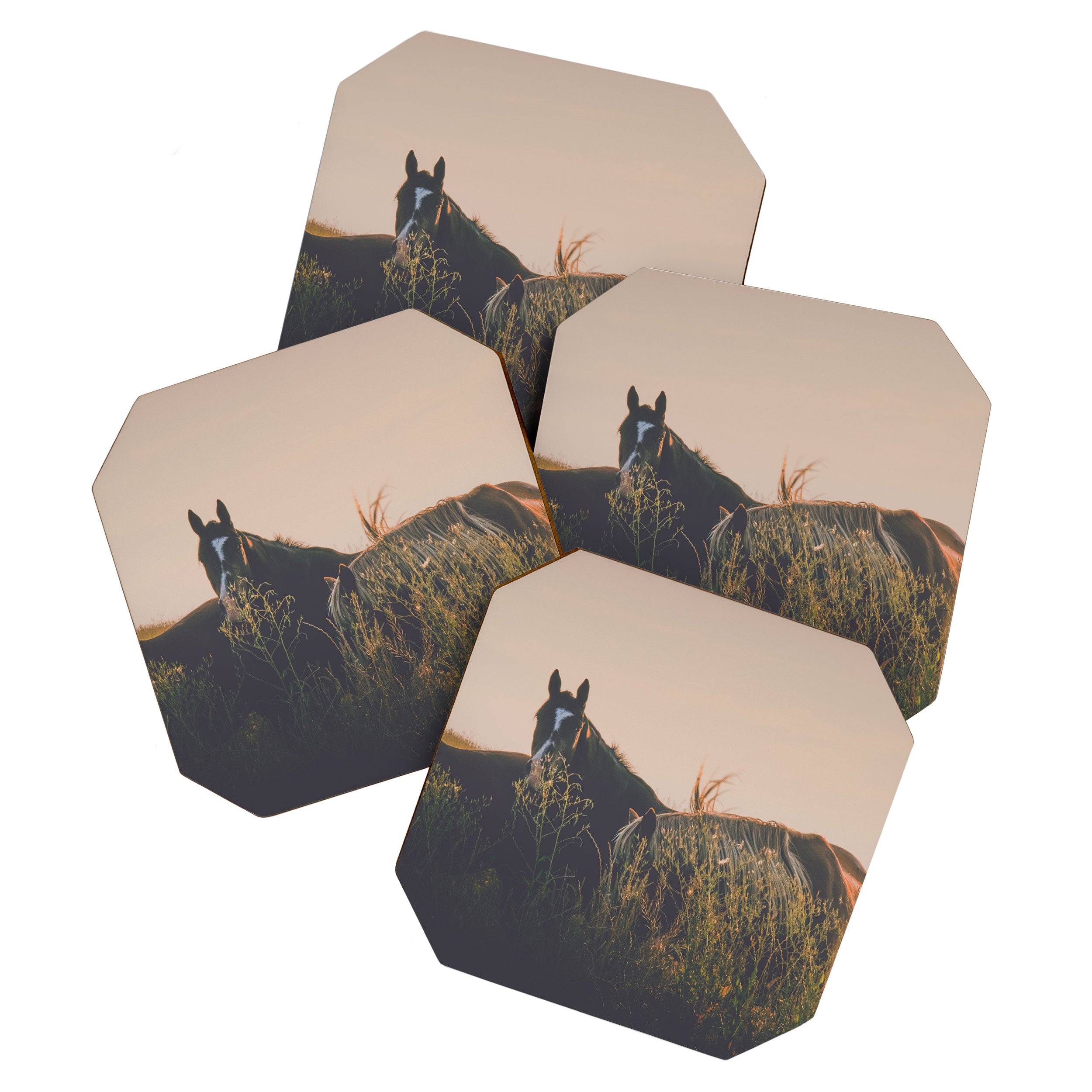 Ears Coaster Gallery Image 1