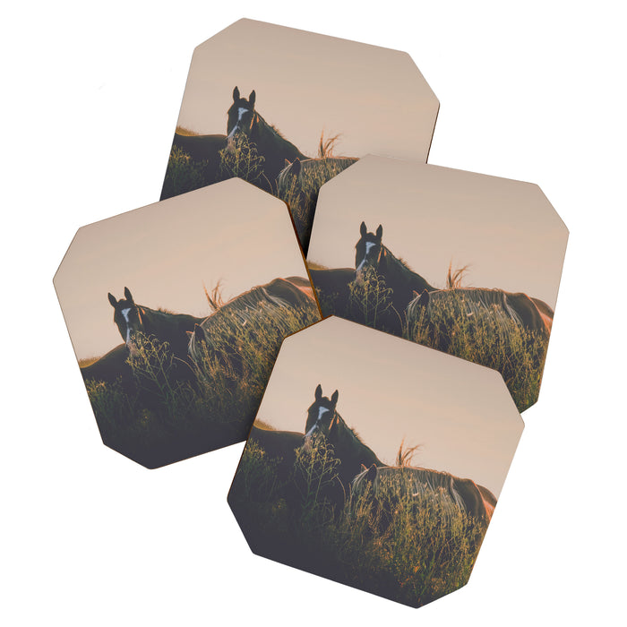 Ears Coaster Gallery Image 1