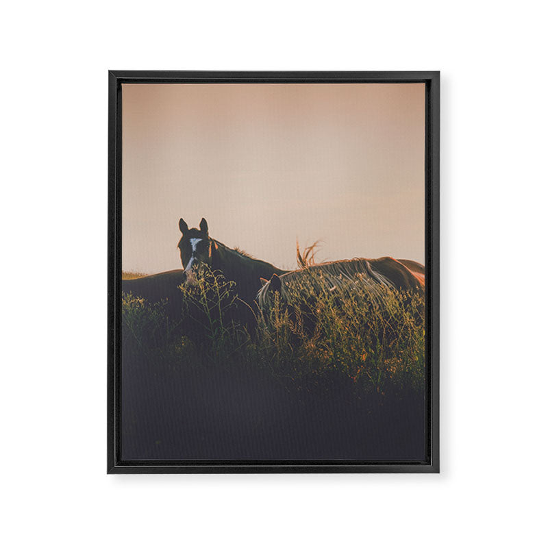Ears Framed Canvas Print Gallery Image 6
