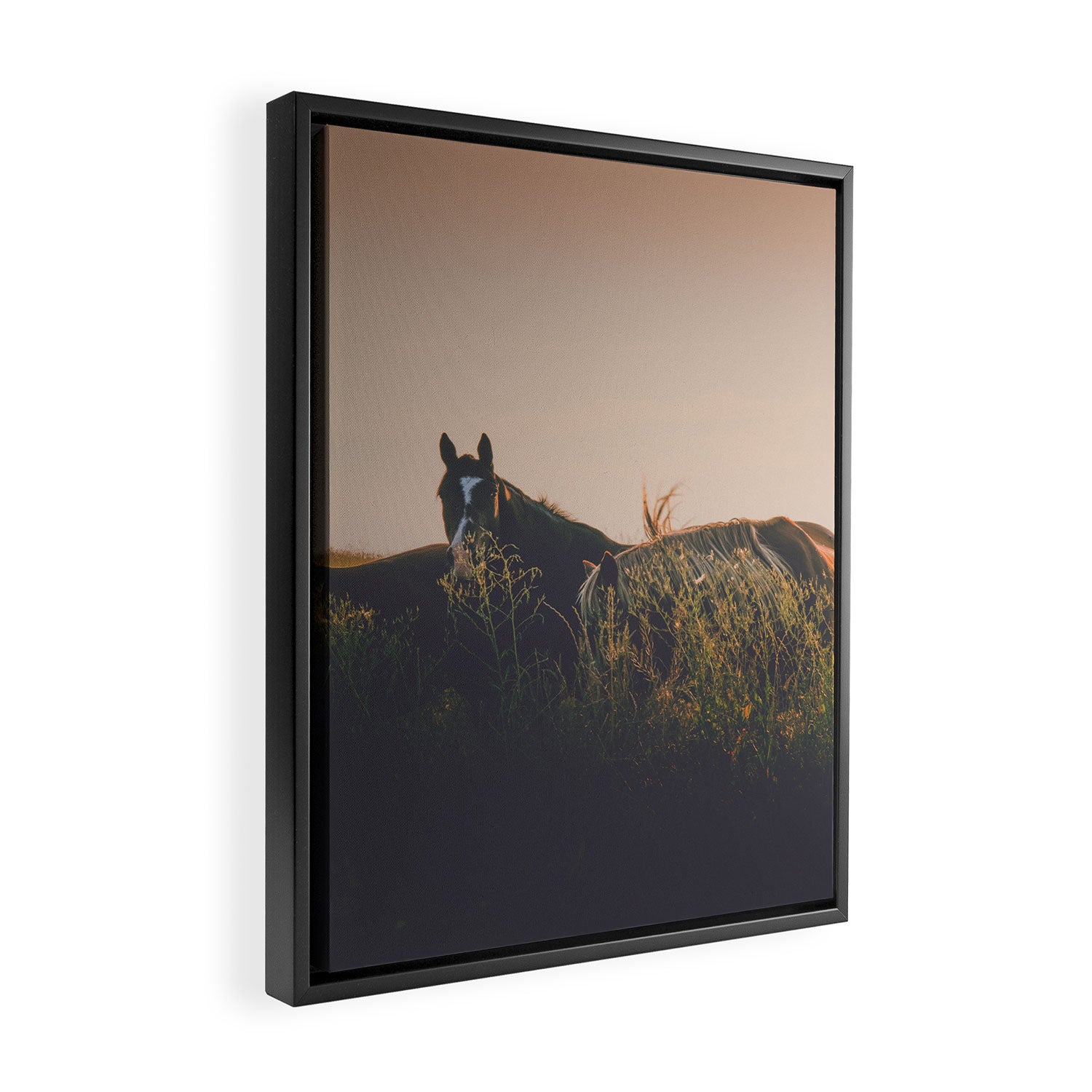 Ears Framed Canvas Print Gallery Image 2