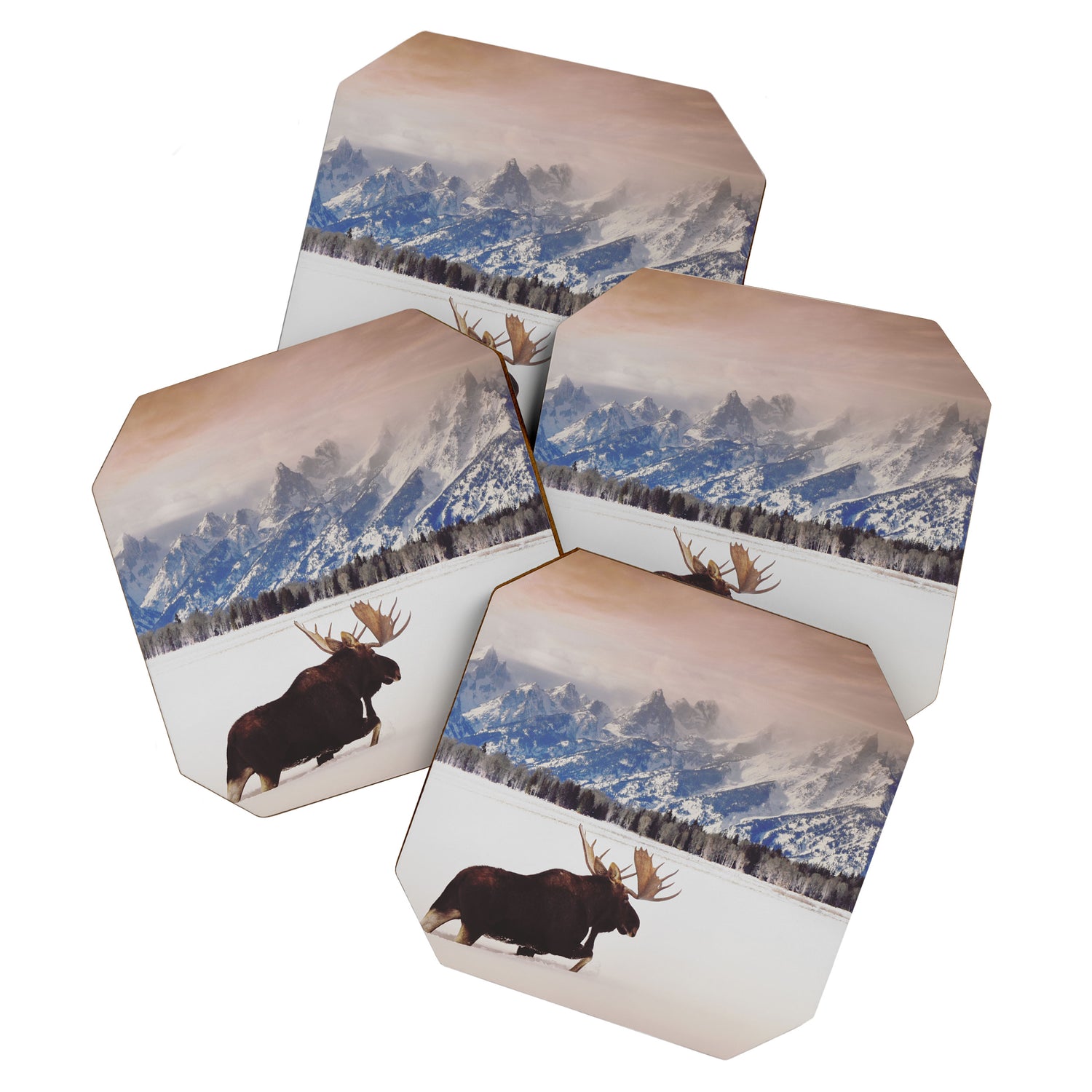 Grand Tetons Wanderer Coaster Gallery Image 1