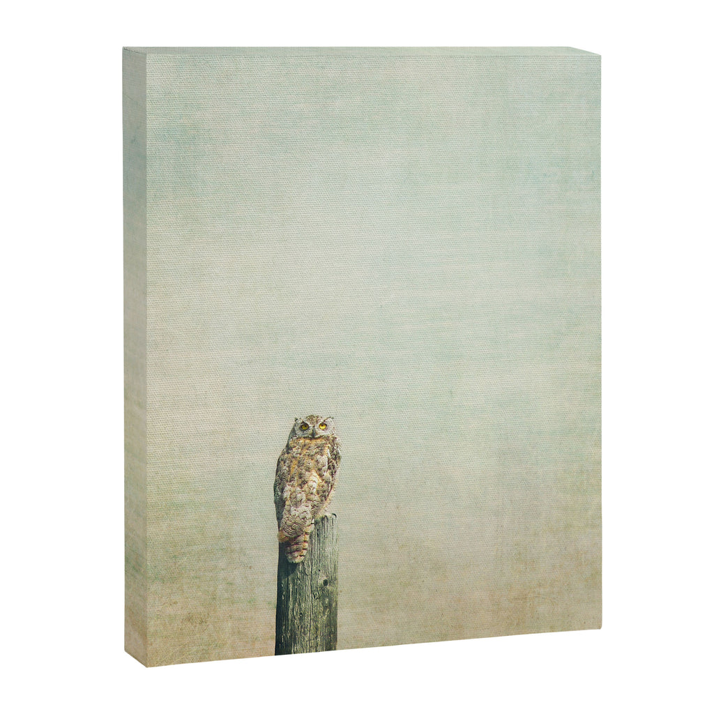 Owl See You Canvas Print Gallery Image 6
