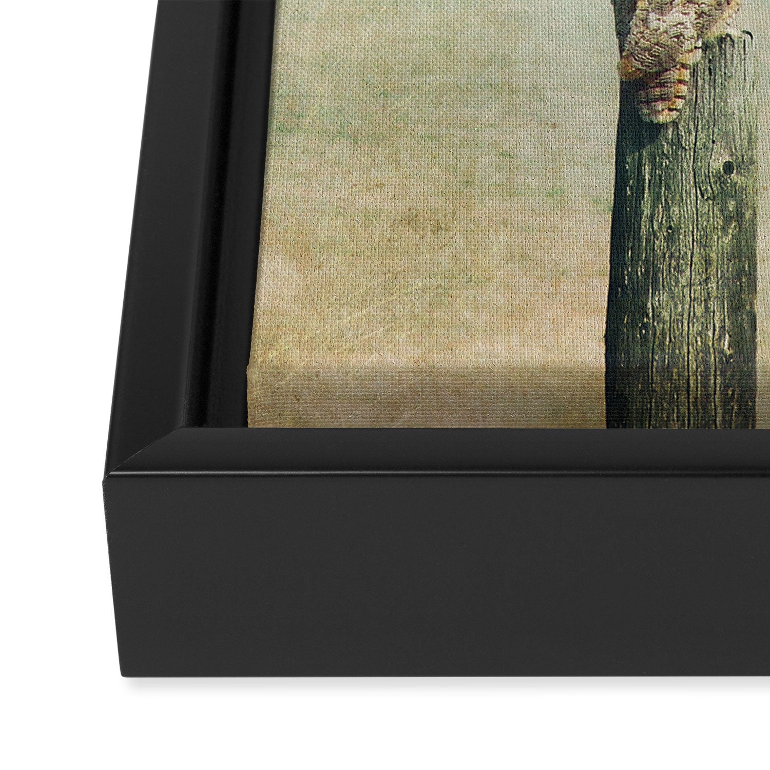 Owl See You Framed Canvas Print Gallery Image 3