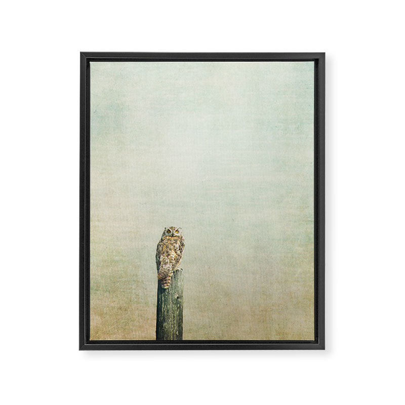 Owl See You Framed Canvas Print Gallery Image 6