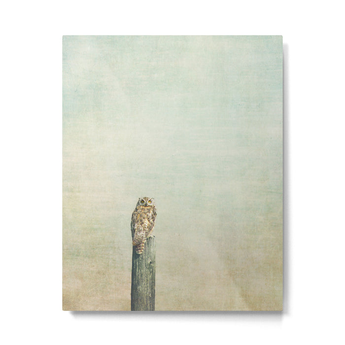 Owl See You Metal Print Gallery Image 1