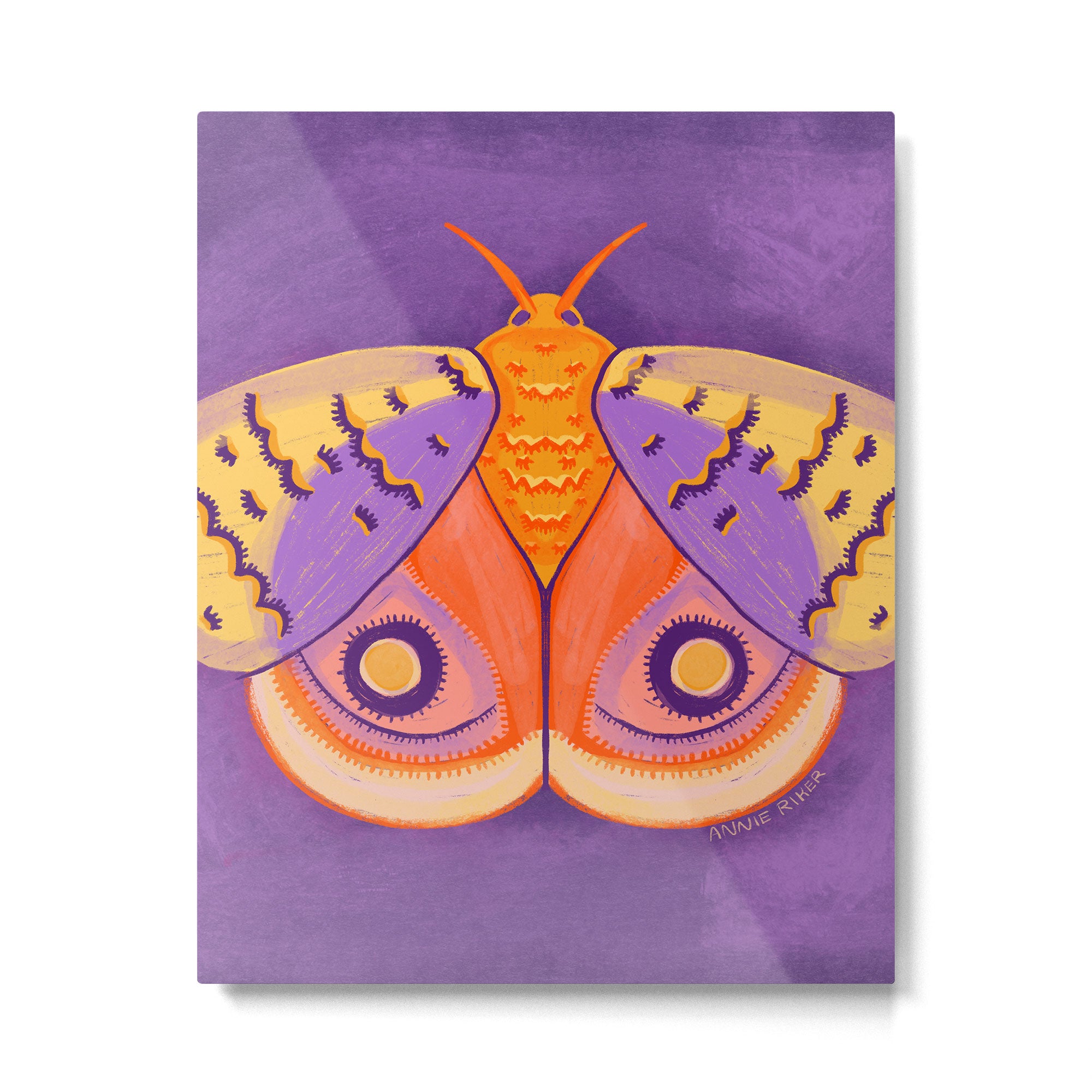 IO Moth Metal Print Gallery Image 6