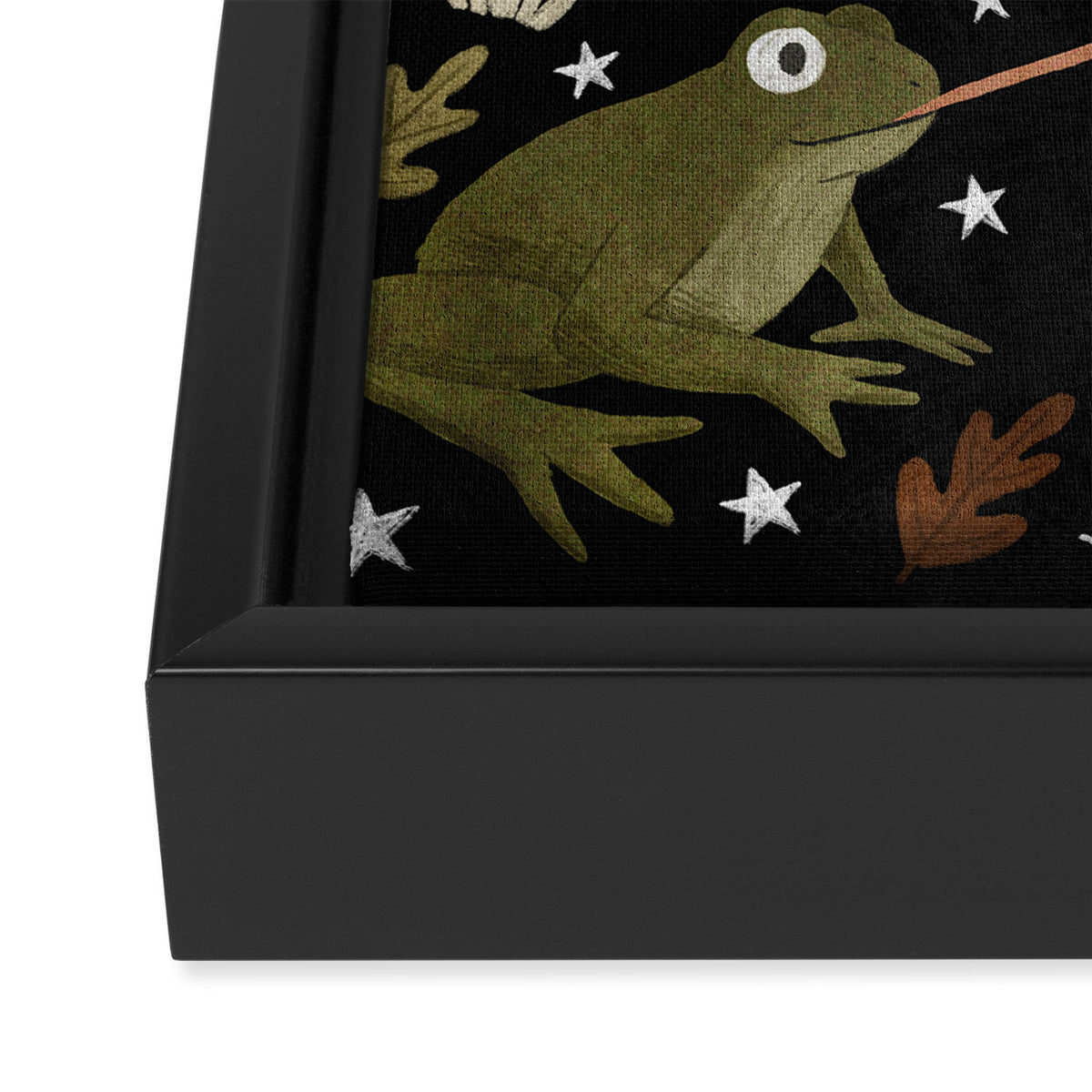 toad spells Framed Canvas Print Gallery Image 3