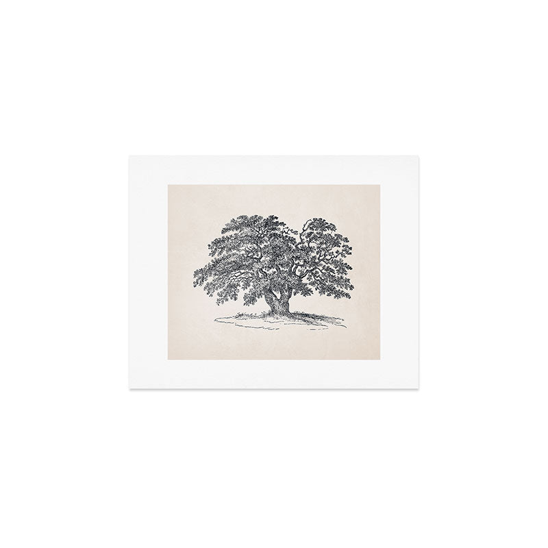 Wide Oak Tree Sketch Art Print