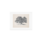 Wide Oak Tree Sketch Art Print Gallery Image 1