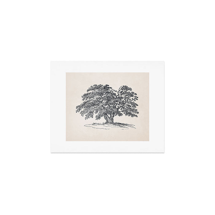 Wide Oak Tree Sketch Art Print Gallery Image 1