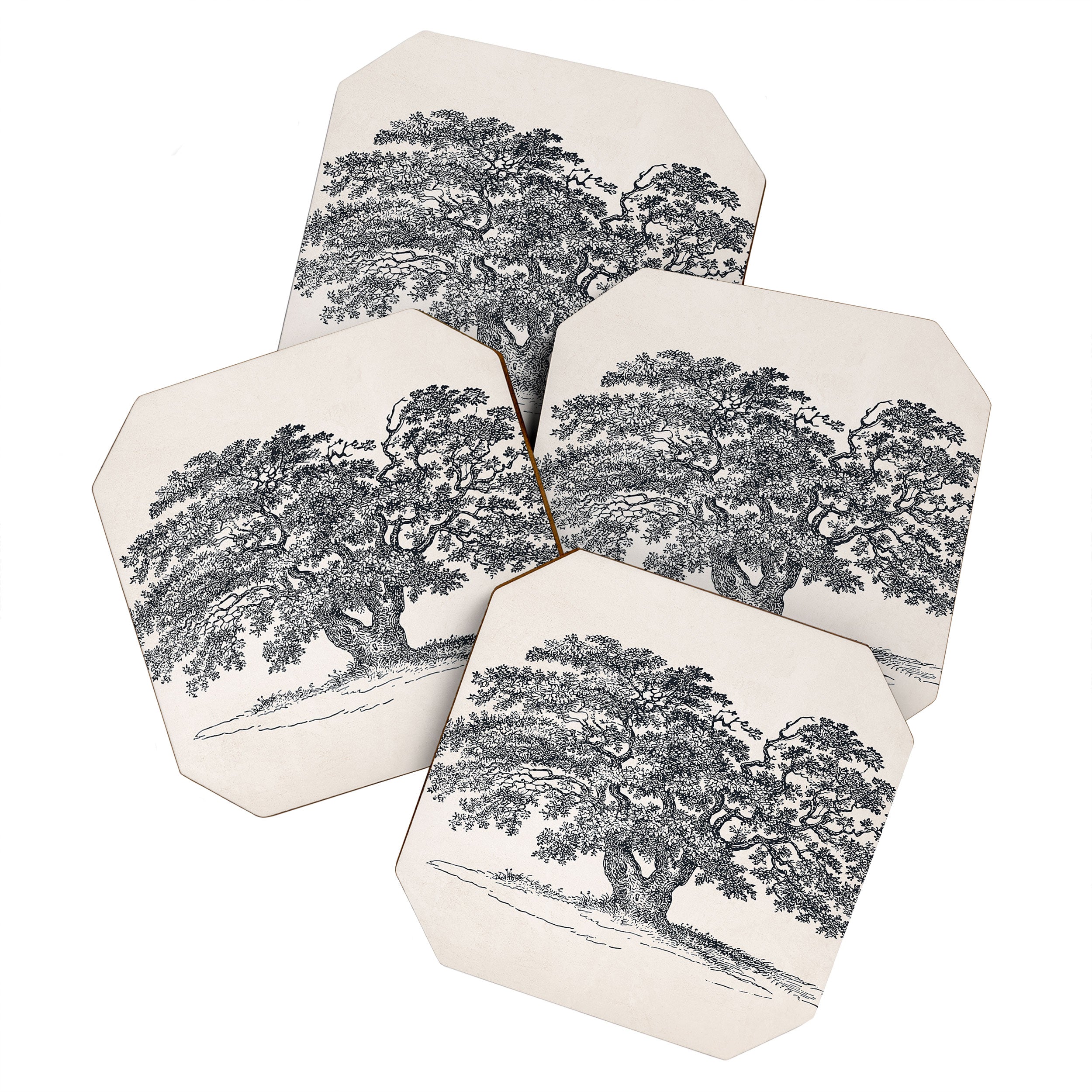 Wide Oak Tree Sketch Coaster Gallery Image 1