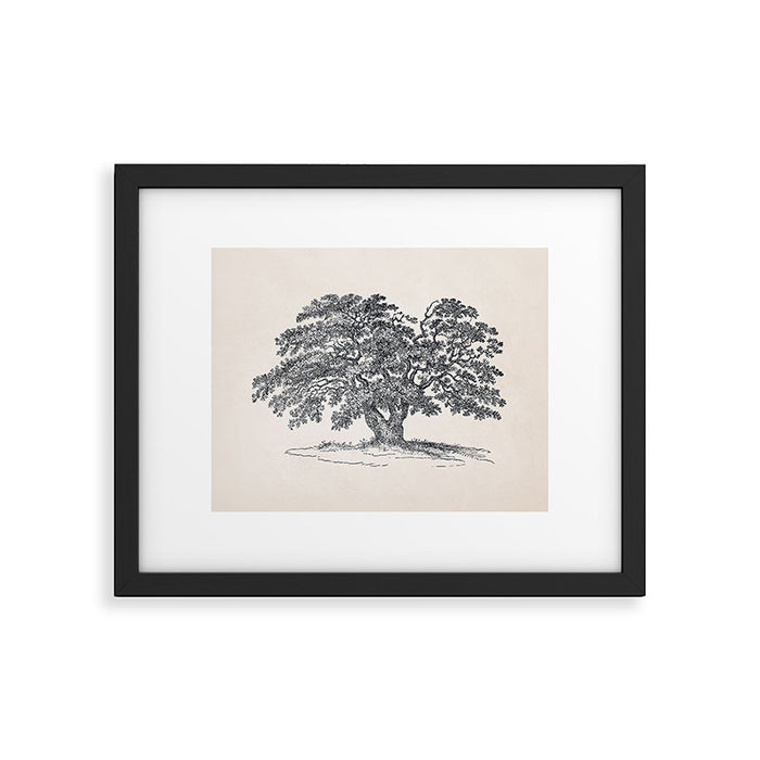 Wide Oak Tree Sketch Framed Art Print Gallery Image 1