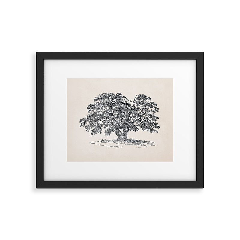 Wide Oak Tree Sketch Framed Art Print Gallery Image 4