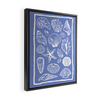 Blue Seashells Framed Canvas Print Gallery Image 2
