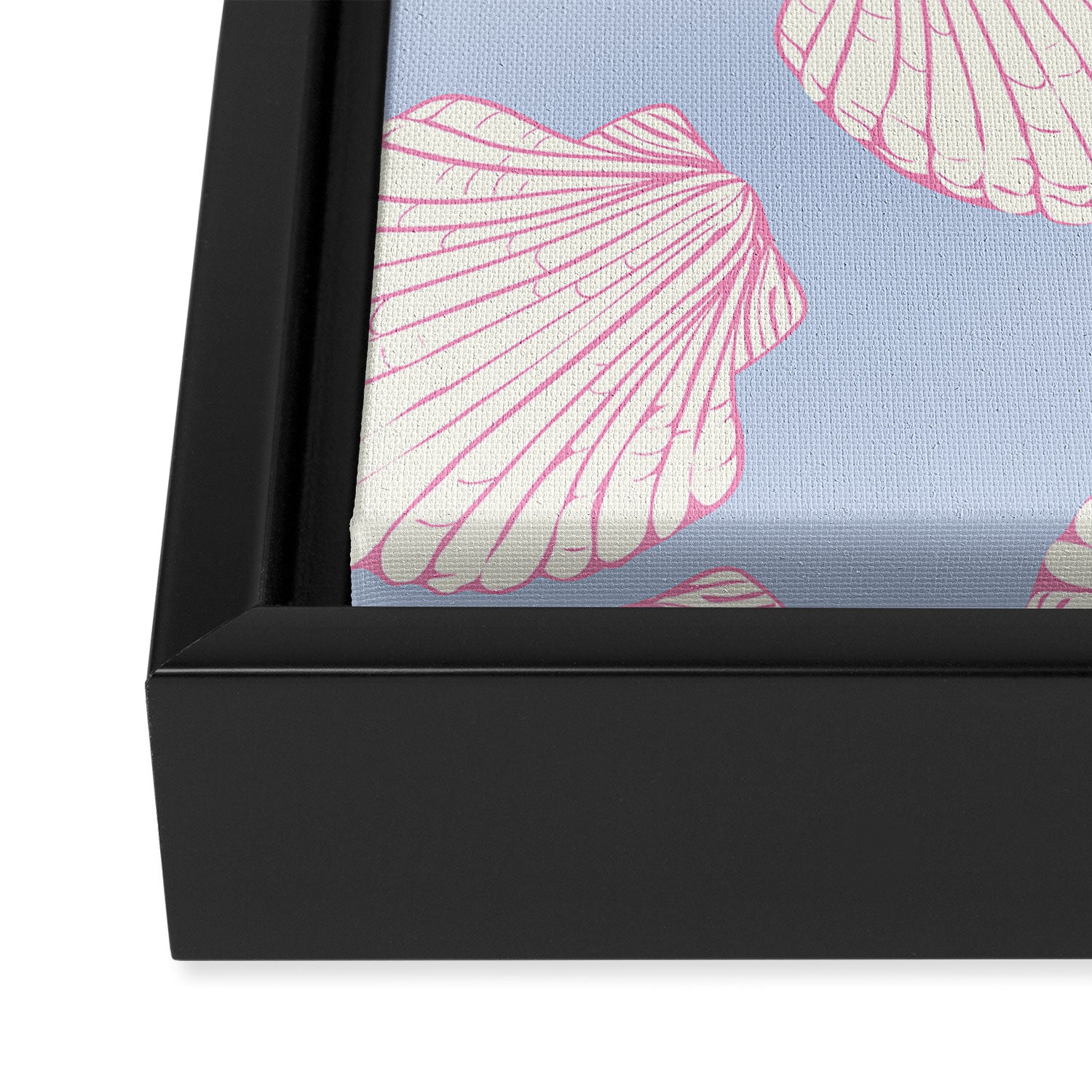 Seashell Pattern Framed Canvas Print Gallery Image 3