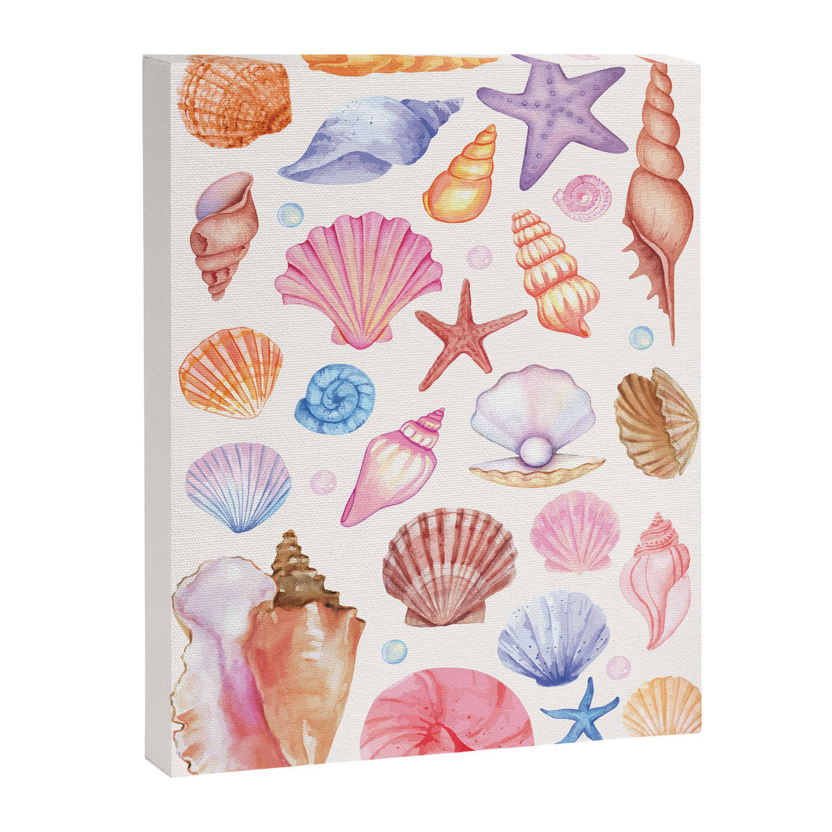 Watercolor Seashells Canvas Print Gallery Image 6