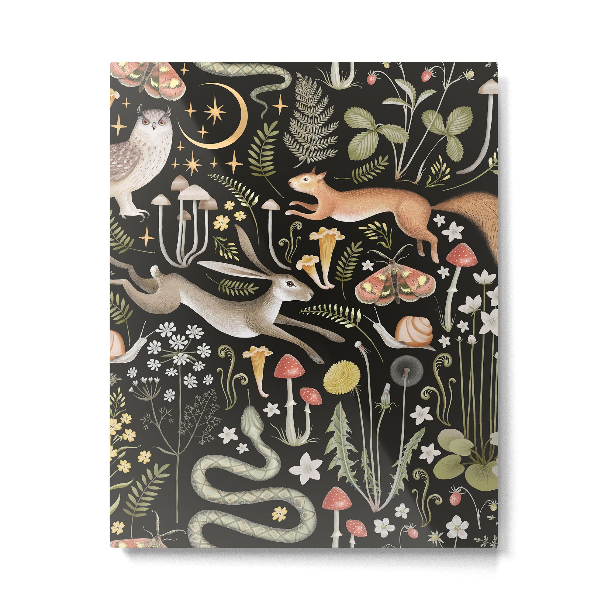 Enchanted Magical Midnight Forest II Metal Print Gallery Image 6